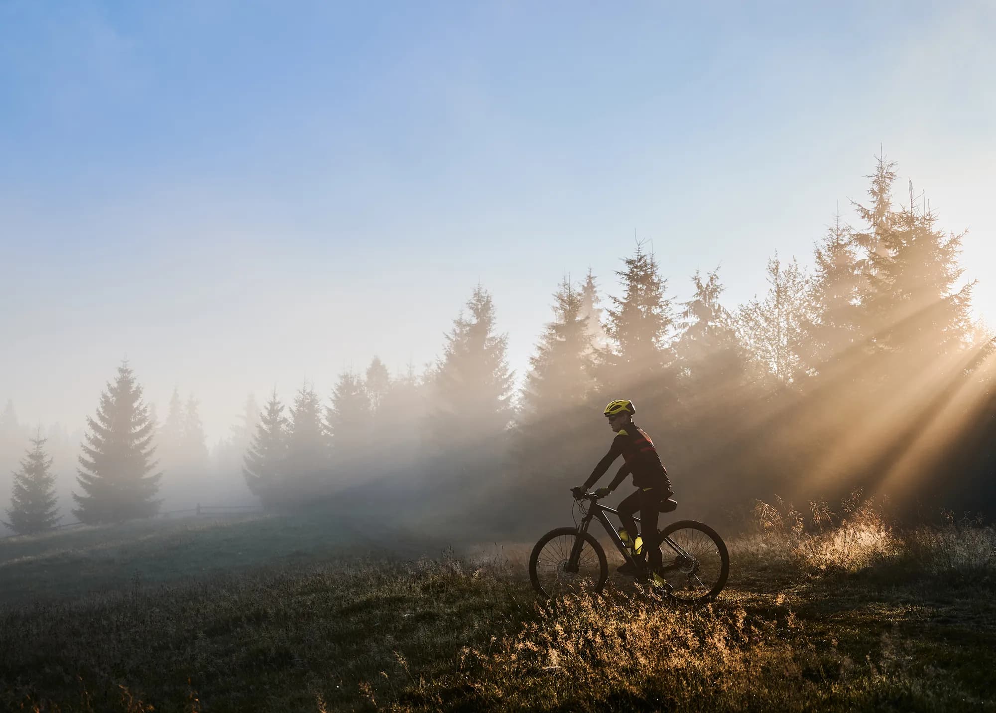Ride a bike