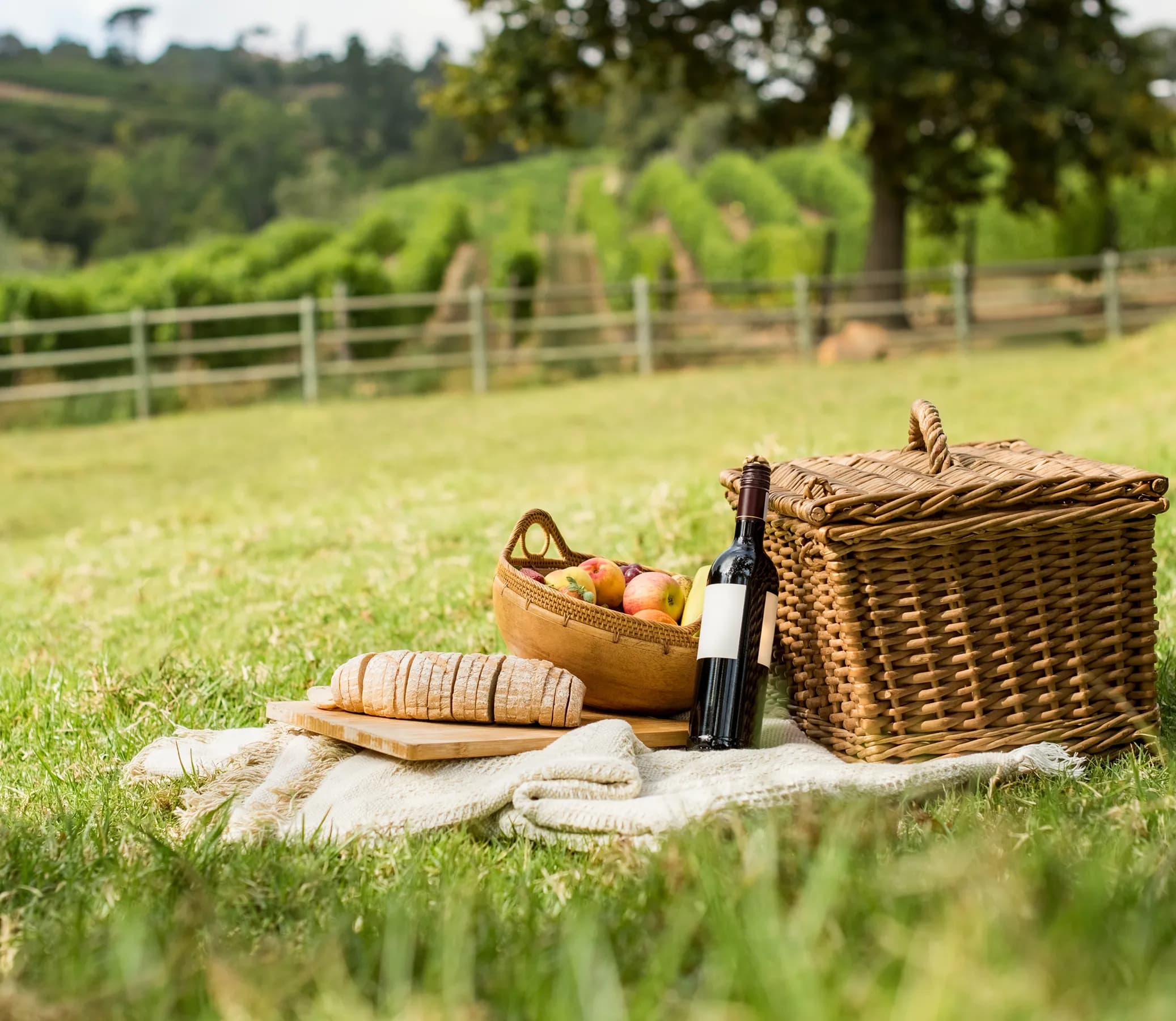 Picnic